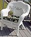 Home Decorators Collection Sahara Chair, 35