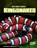 Kingsnakes (Wild about Snakes)