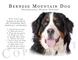 Bernese Mountain Dog Human Trainer Mouse Pad Dog Mousepad