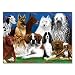 Melissa & Doug 0200 pc Fetching Friends Cardboard Jigsaw