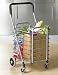 51t8QrN02RL. SL75  Drive Medical Winnie Wagon All Purpose Cart, Red