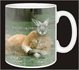 Review Advanta  / KANGAROO Fun Computer Gift Coffee Mug