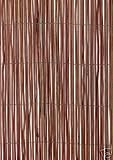 Fern Screening - 4 x 1.5m