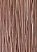 Fern Screen