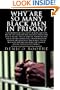 Why Are So Many Black Men in Prison? A Comprehensive Account of How and Why the Prison Industry Has Become a Predatory Entity in the Lives of African-American Men
