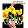 Colour