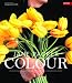 Garden Design Bestsellers IV