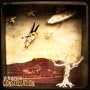 Constellation