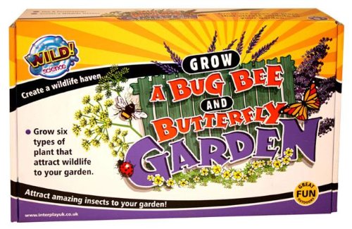 Grow A Bug Bee And Butterfly Garden