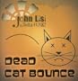 Dead Cat Bounce