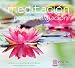 Meditaci&oacute;n para la relajaci&oacute;n (Meditation for Relaxation): Tres meditaciones guiadas para relajar el cuerpo y la mente (Vive La Meditacion) (Spanish Edition)