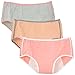 Women's Menstrual Period Leak Proof Control Brief Multi Pack (Size:4-8)