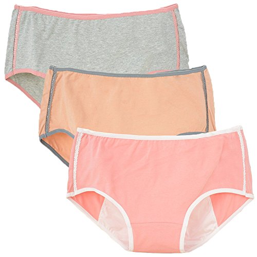 Women's Menstrual Period Leak Proof Control Brief Multi Pack (Size:4-8)