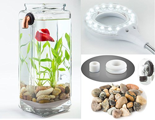 [Newest Version] NoClean Aquariums New GravityFlow Self-Cleaning Glass Betta Aquarium Starter Kit with Polished Stones and IllumaFlex White LED - The Original Self-Cleaning Aquarium! [2nd Generation]