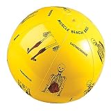 SSG Muscle Beach Ball