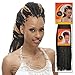 Femi Collection Marley / Kinky Twist Braid Flame Retardant PACK OF 4PCS (#1B)