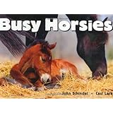 Busy Horsies (A Busy Book)