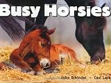 Busy Horsies (A Busy Book)