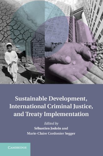 Sustainable Development, International Criminal Law, and Treaty Implementation (Treaty Implementation for Sustainable Development)