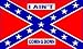 Freeshipping - 3x5ft Polyester Rebel I Am not Coming Down Flag #F1008