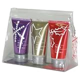 51tA26DTLRL. SL160  Asquith Somerset Christmas Travel Metallic Gift Bag