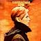 Have A Fundamental David Bowie Collection