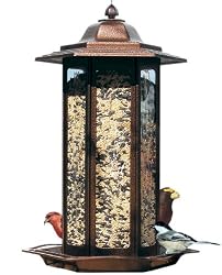 Birdscapes 366 Tall Tulip Garden Lantern Feeder, 6-Pound Capacity (Colors May Vary)