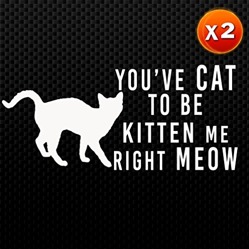 (2x) You've CAT to be KITTEN me right MEOW Car Vinyl Auto Emblem Sticker Decal (White 6