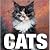 Cats (Cube Books)