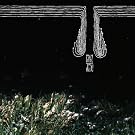 Split