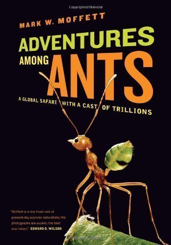 Adventures Among Ants: A Global Safari with a Cast of Trillions 1st (first) Edition by Moffett, Mark W. published by University of California Press (2010) Hardcover