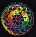 Rainbow Cartwheel Crocheted Hair Bun Cover- MEDIUM