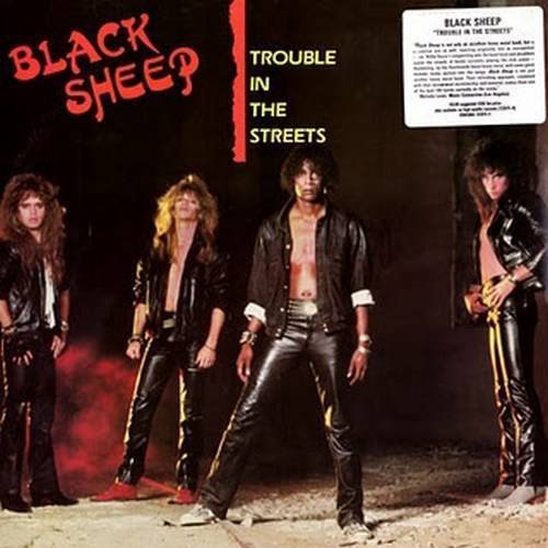 Black Sheep - Trouble In The Streets - Zortam Music