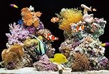 300ピース 囁きの泳 300-331