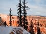 A Hiker Walks Along a Ledge in Winter Next to Bryce Amphitheater, Bryce Canyon National Park, Utah Photographic Poster Print, 18x24