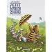 Petit Mardi et les Zumins, Tome 2 : La chasse au papillon
