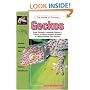 The Guide to Owning Geckos