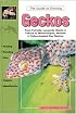 The Guide to Owning Geckos