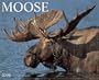 Moose 2008 Calendar
