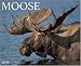 Book Moose 2008 Calendar