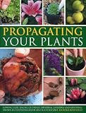 Propagating Your Plants