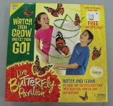 Insect Lore Butterfly Garden Kit