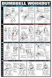 Dumbell Workout I 24 X 36 Laminated Chart (Chest, Biceps, Tri's & Forearm)