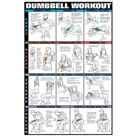 Click here to buy Dumbell Workout I 24 X 36 Laminated Chart (Chest, Biceps, Tri's and Forearm).