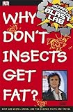 Why don't insects get fat?