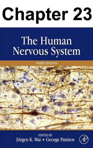 Chapter 023, Architecture of the Cerebral Cortex