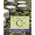 Problem Solving with C++, 7th Edition