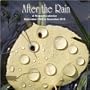 After The Rain 2010 Wall Calendar