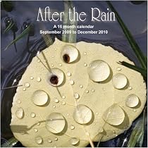 After The Rain 2010 Wall Calendar