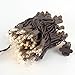 Novelty Lights Clear Incandescent Christmas String Lights - UL Listed Indoor/Outdoor Light Set w/ 100 Mini Bulbs for Christmas Tree, Patio, Wedding Decor, and More - (Green Wire, 22' Long)